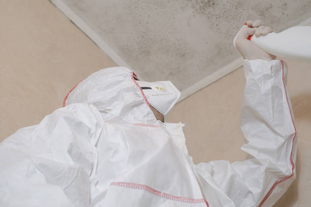 Best Emergency Mold Removal  in Moorefield, WV